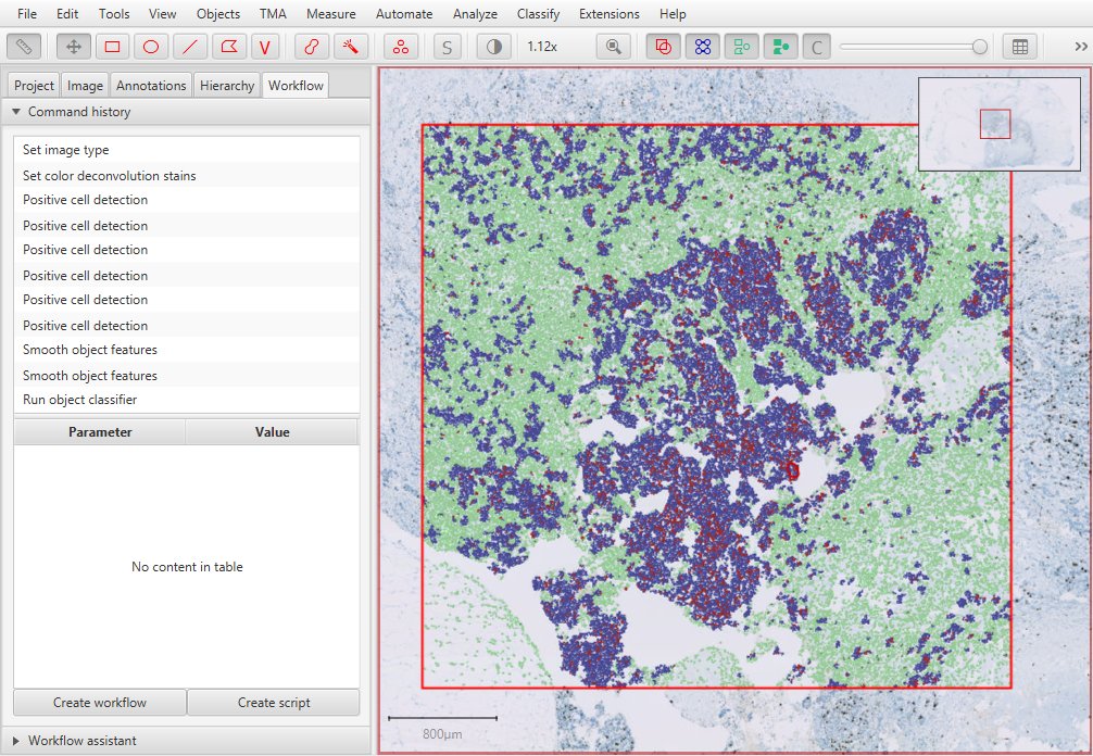 Bioimaging Analysis